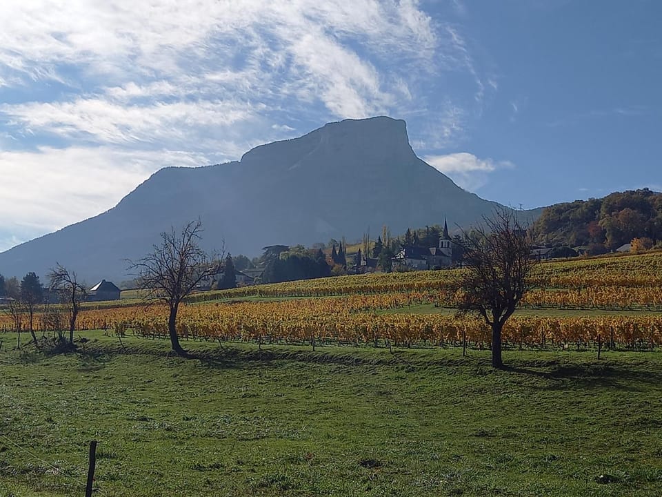Natural landscape