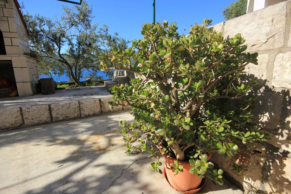 Location, children, Family