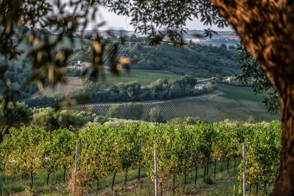 Garden view, Garden view