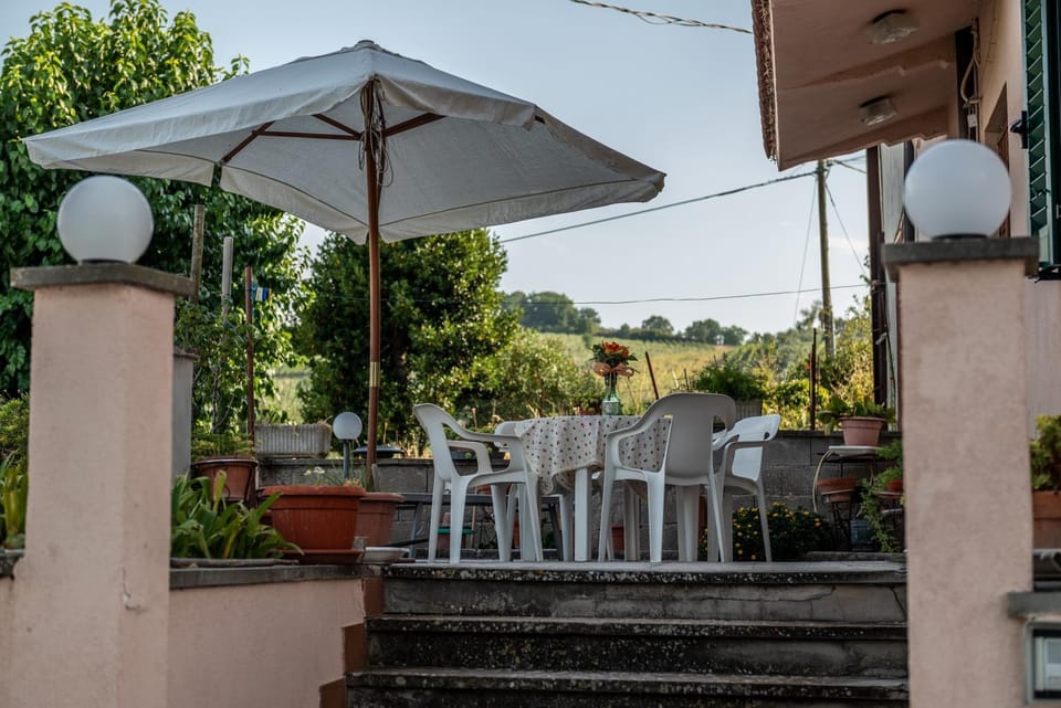 Patio, Garden view