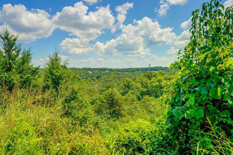 Perfect Location! Amazing Views & Close to It All! House in Branson