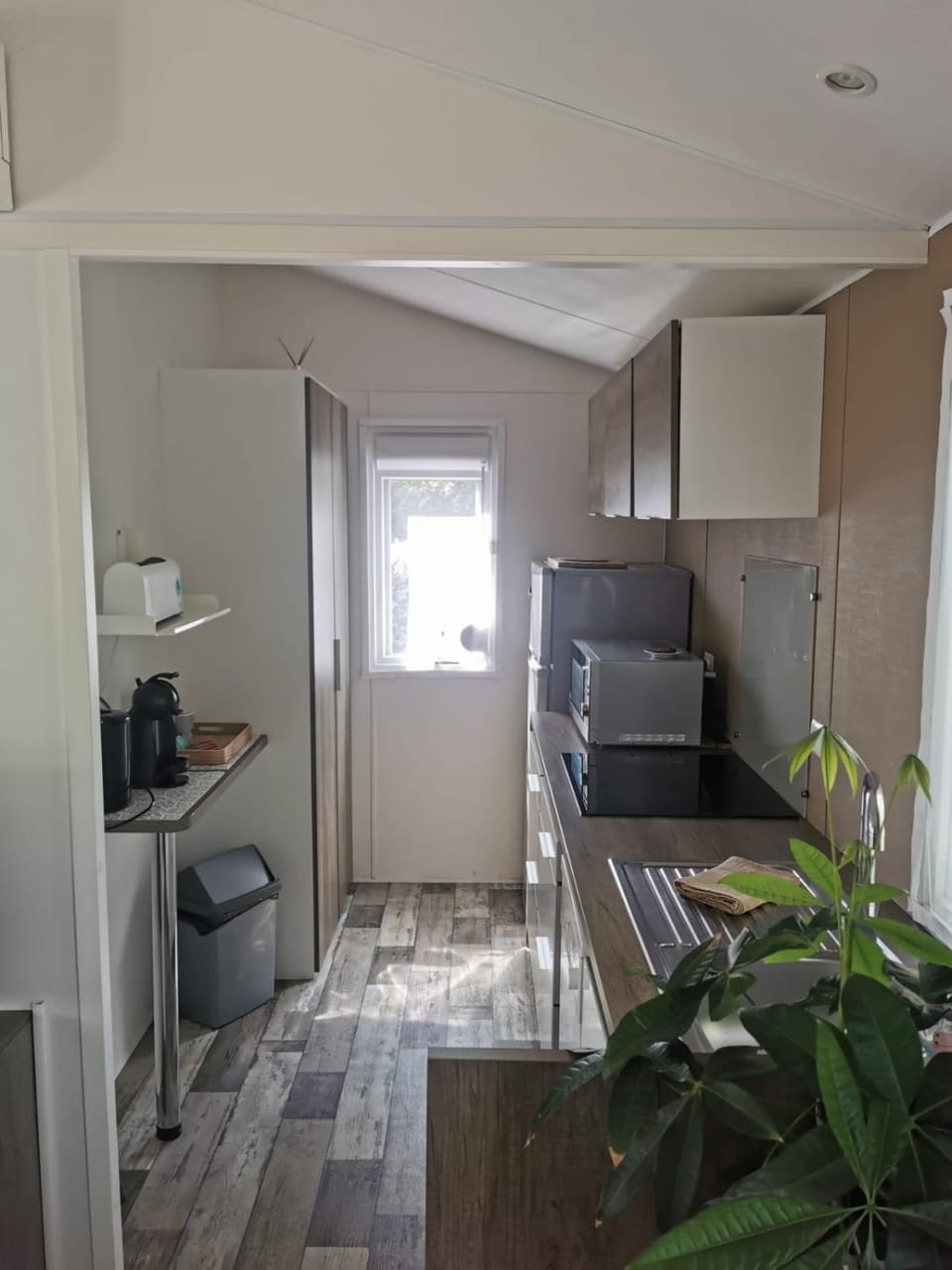 Kitchen or kitchenette, stove