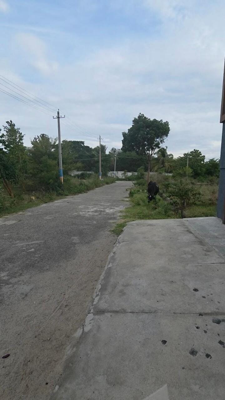 Neighbourhood, Natural landscape
