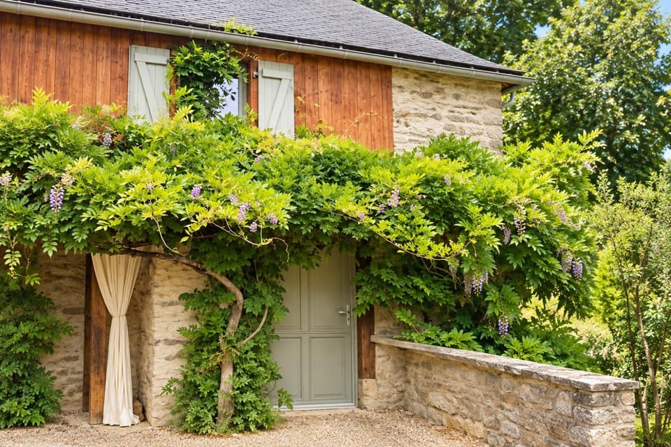 Maison de charme, Bain nordique, Proche Saint-lary, 3 chambres House in Saint-Lary-Soulan