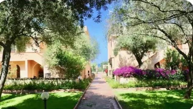 Natural landscape, Garden