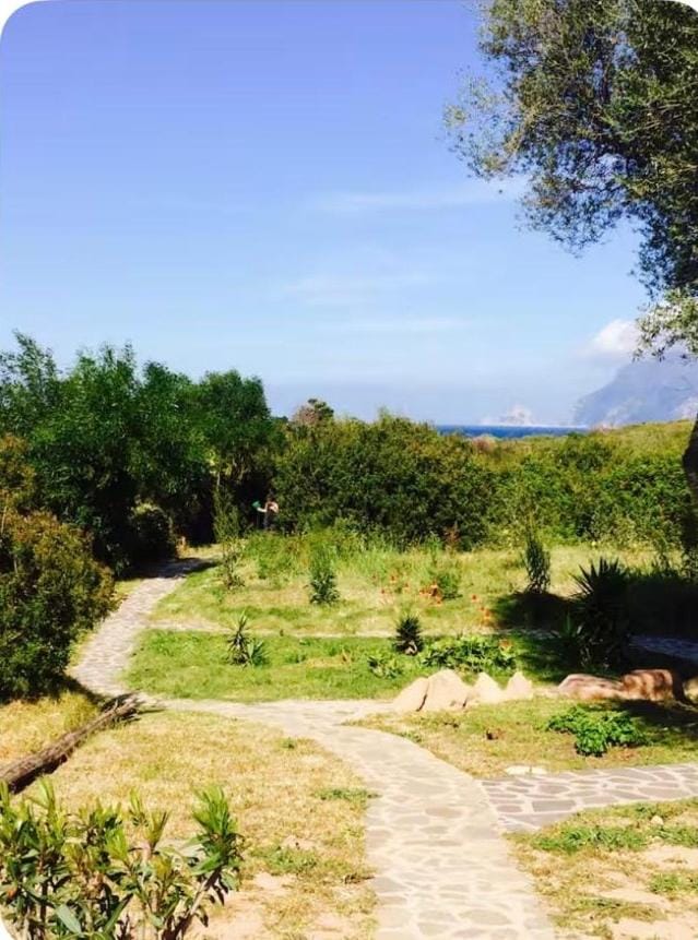 Natural landscape