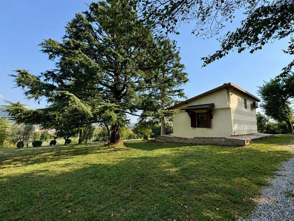 Property building, Natural landscape, Garden, Garden view