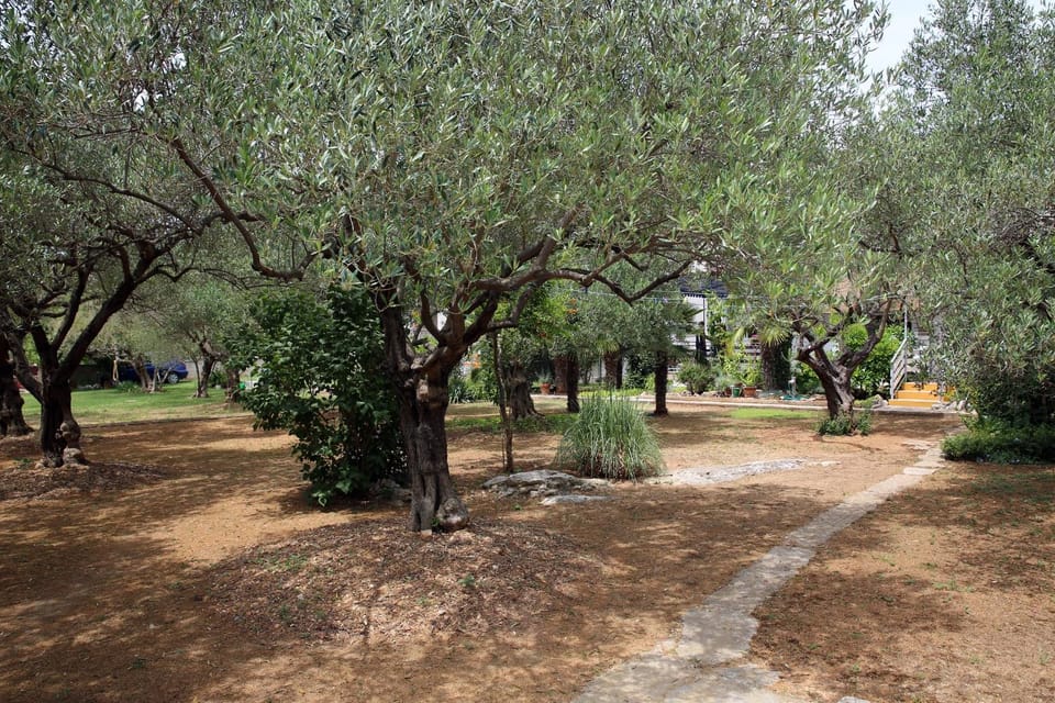 Location, children, Family