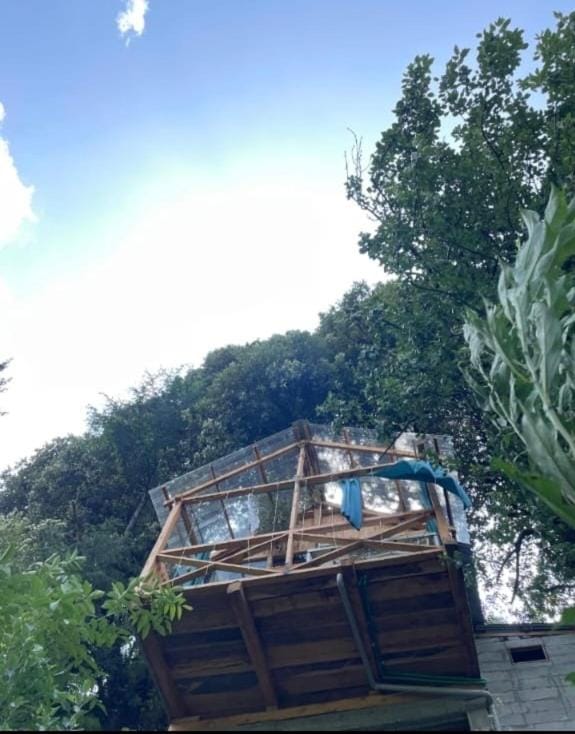 Lily cozy cabin Cabin in Himachal Pradesh