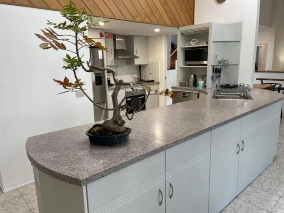Jervis Bay Beachfront Retreat Vacation rental in Vincentia