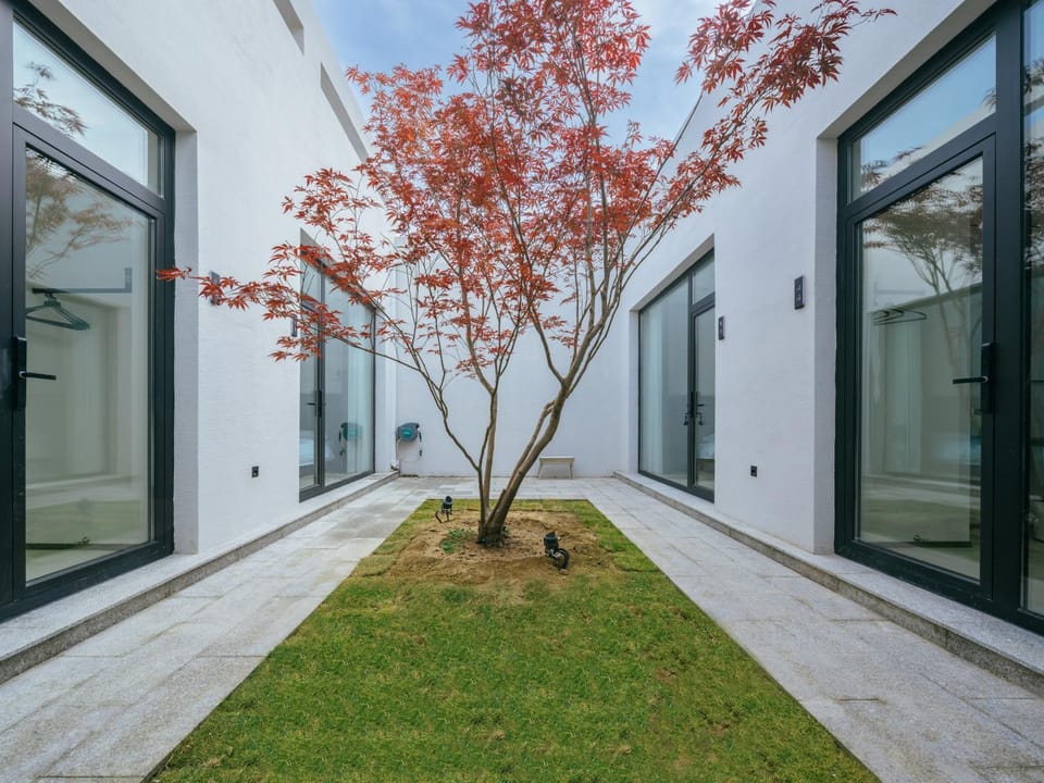 Patio, Balcony/Terrace