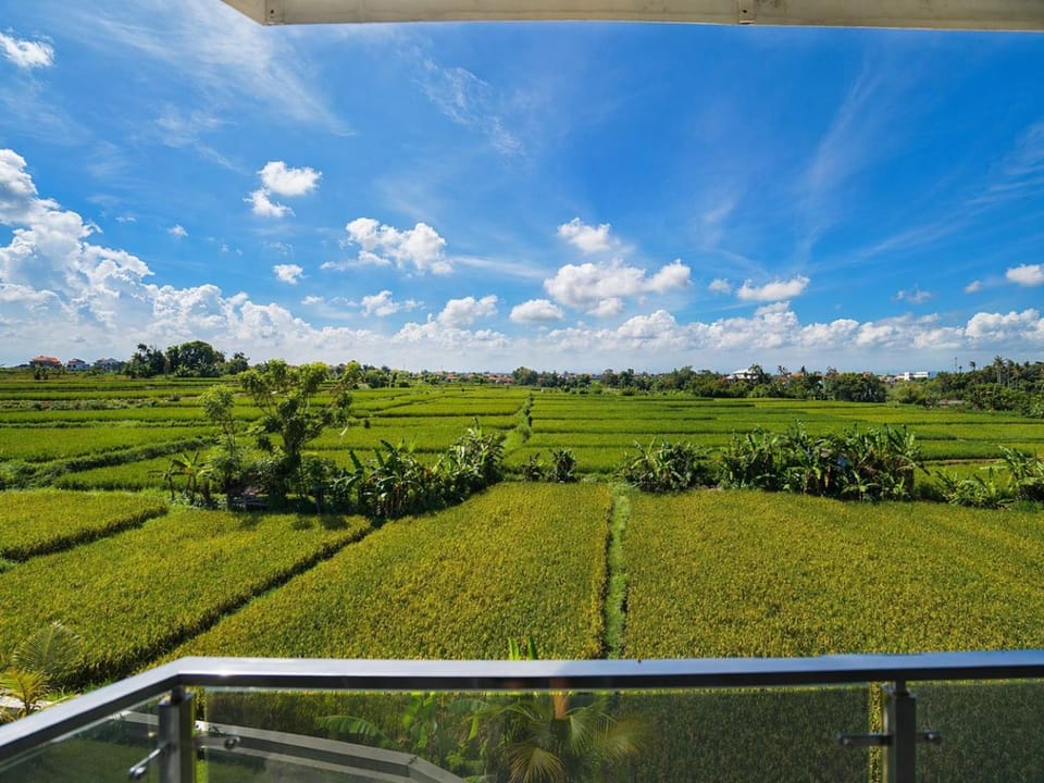 Natural landscape