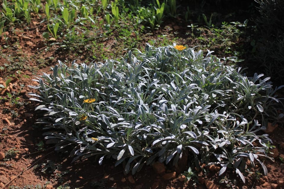 Location, children, Family