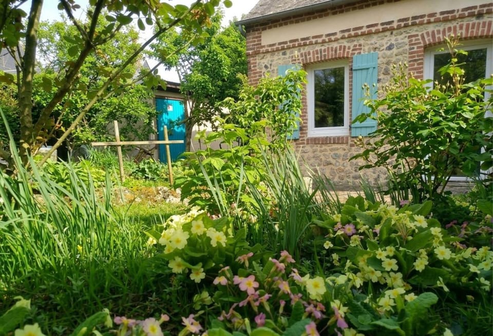 Property building, Garden, Garden view