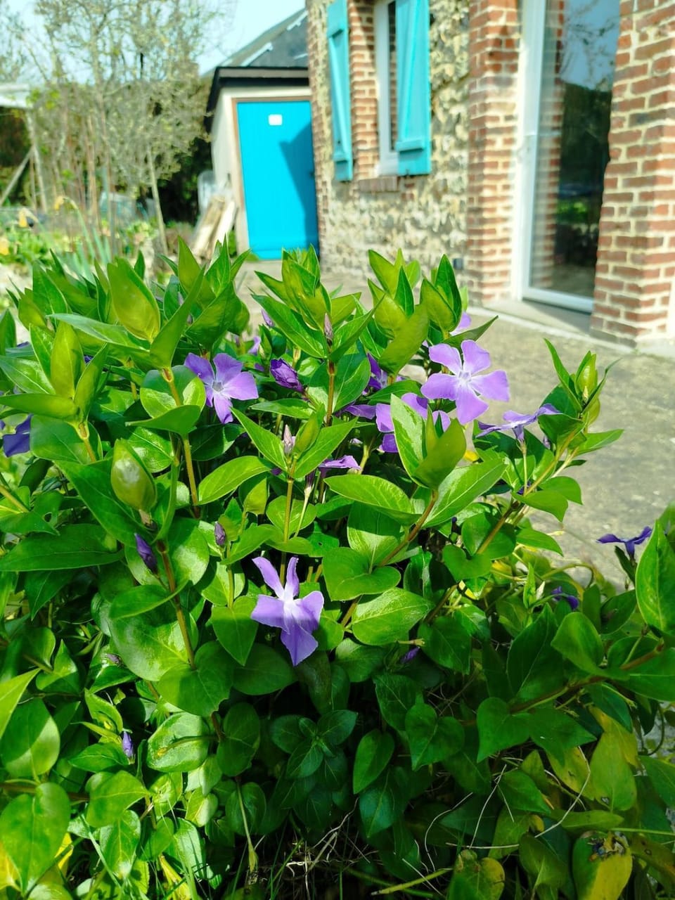Garden, Garden view