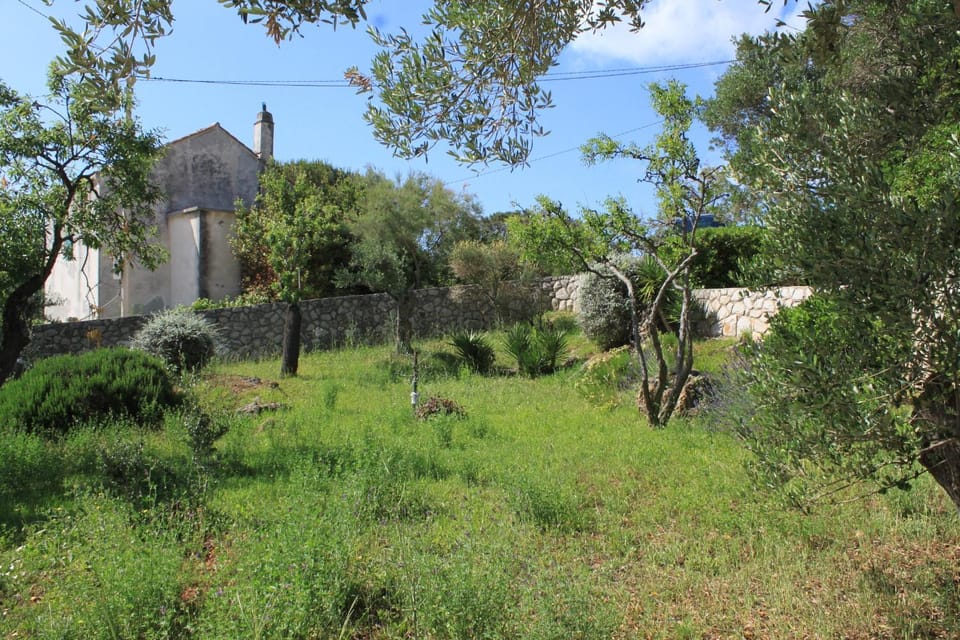 Location, children, Family