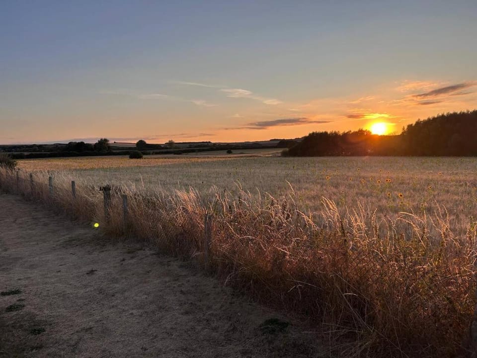 Garden, Garden view, Sunset