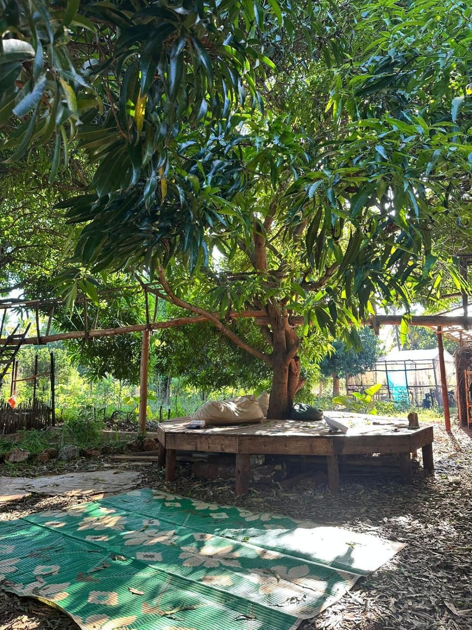Alis Acre- Farm Eco Lodge Farm Stay in Tanzania
