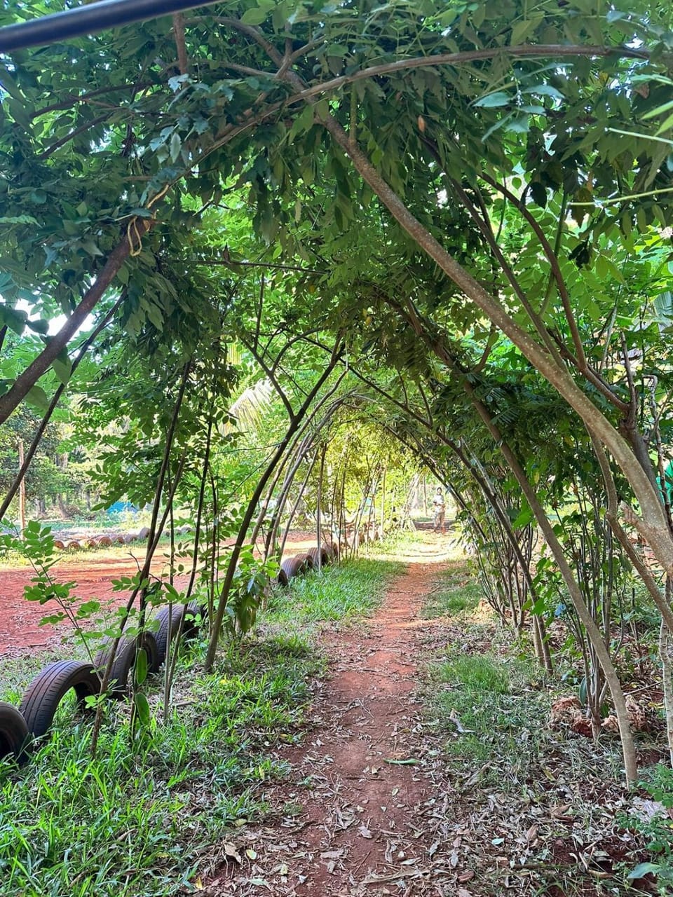 Alis Acre- Farm Eco Lodge Farm Stay in Tanzania