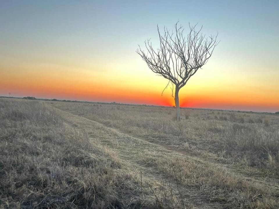 Natural landscape, Sunset