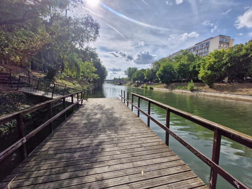 Cozy Studio by the River Apartment in Timisoara