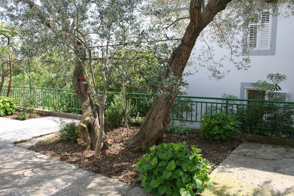 Location, children, Family