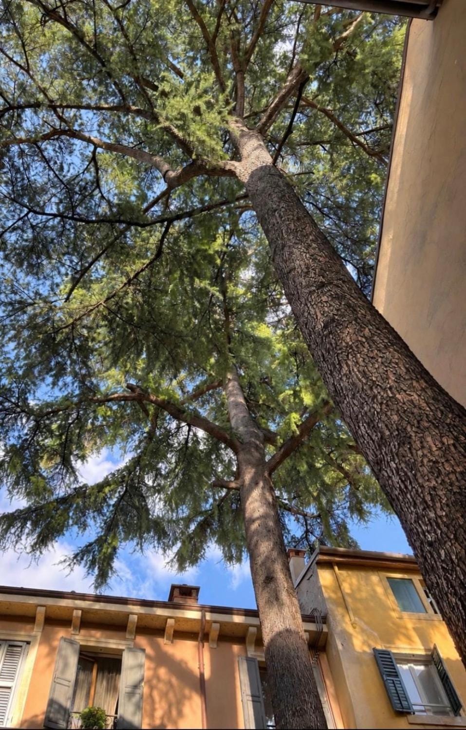 Corte Dei Due Cedri Apartment in Verona