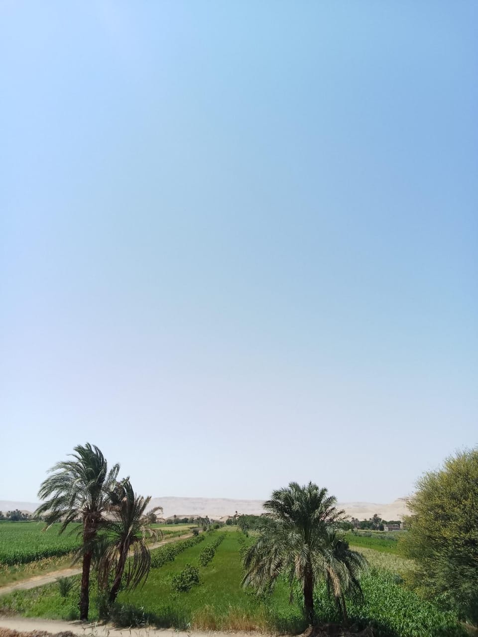 Mountain view Bed and Breakfast in Luxor