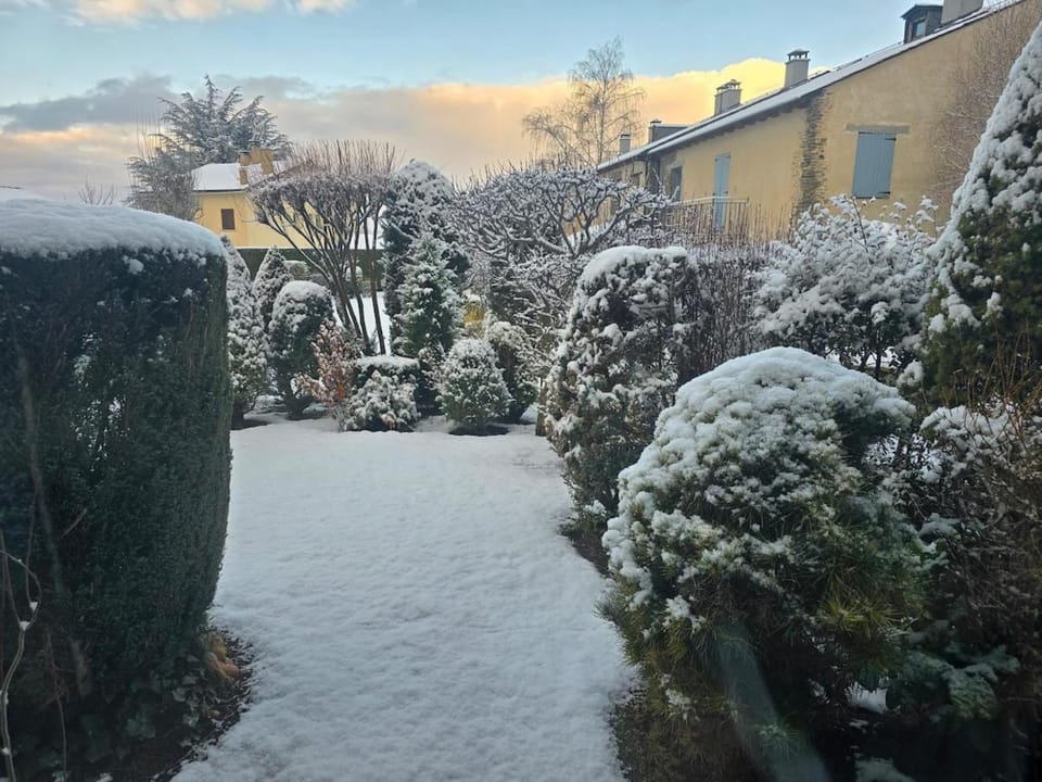 Property building, Winter