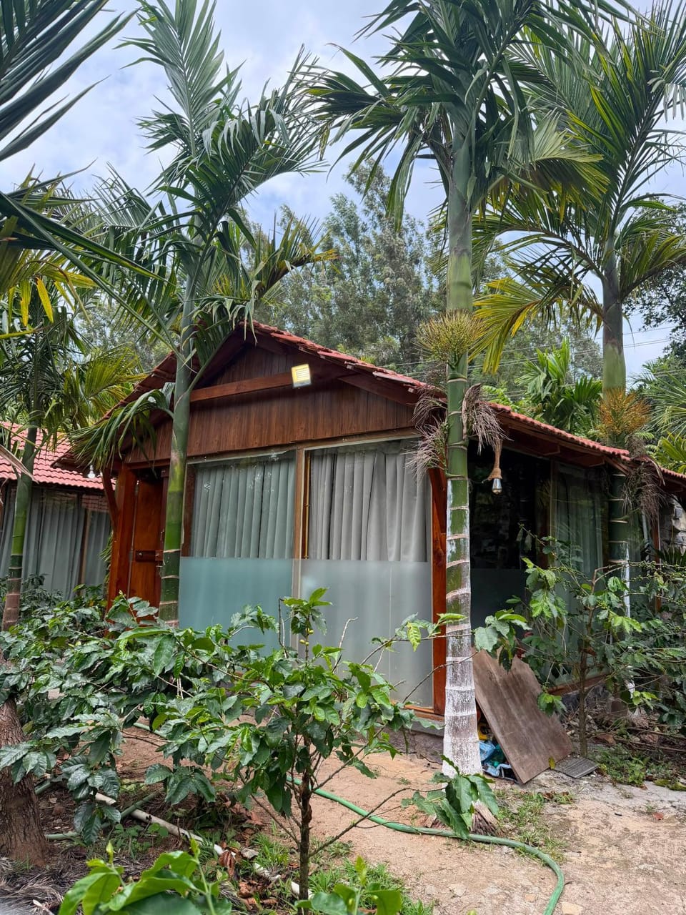 Areca Chalet Chalet in Chikmagalur
