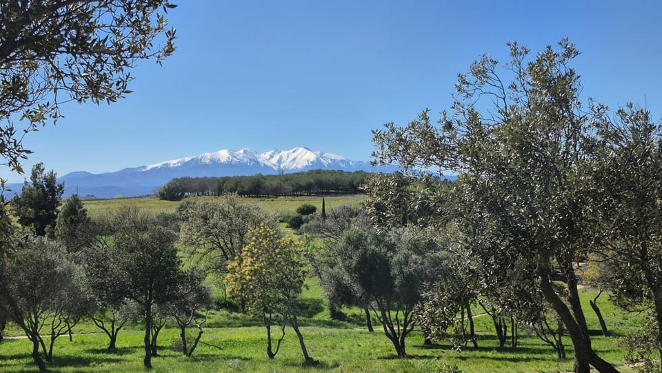 Natural landscape