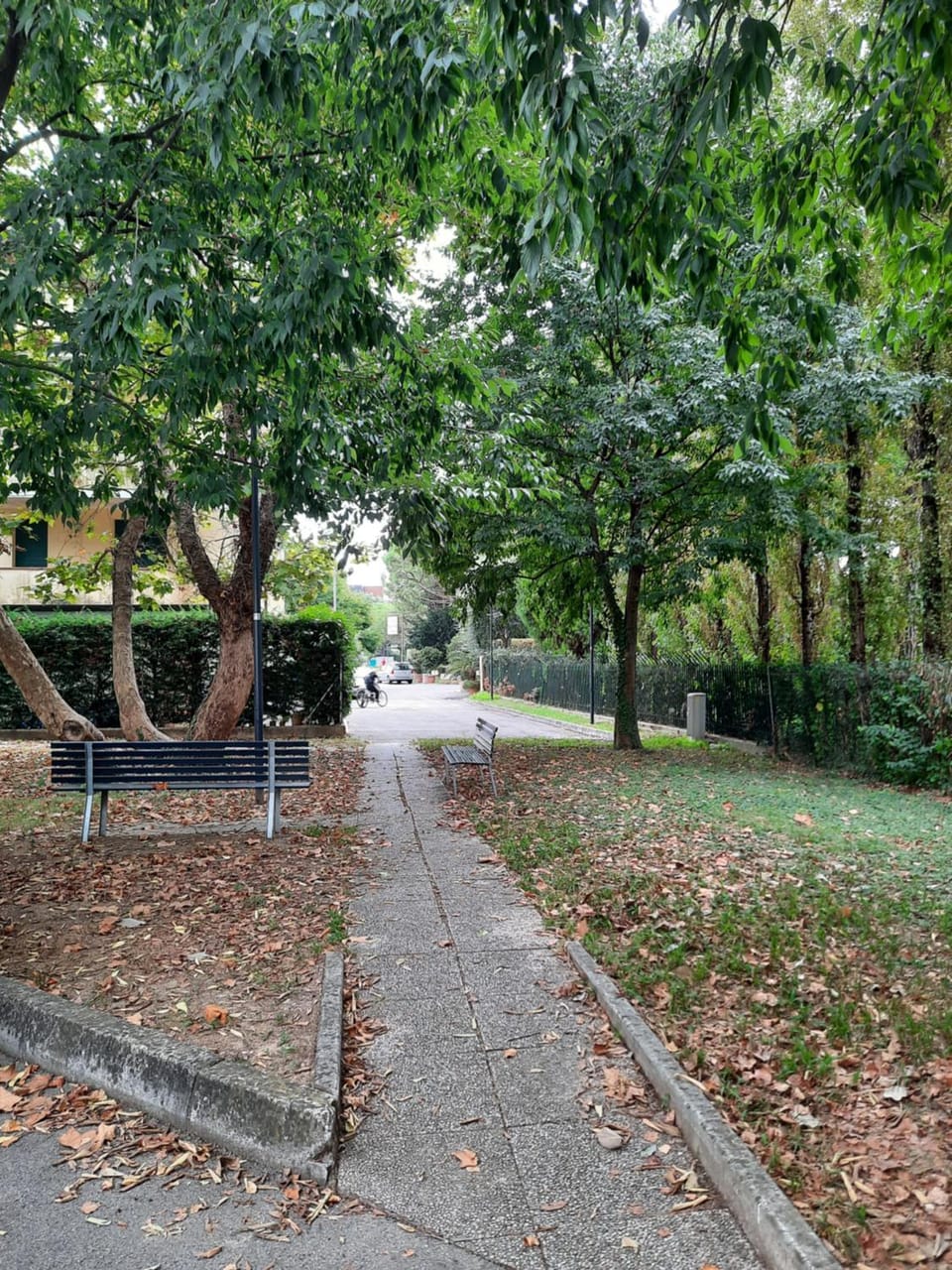 Quiet street view