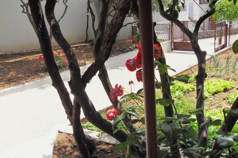 Location, children, Family