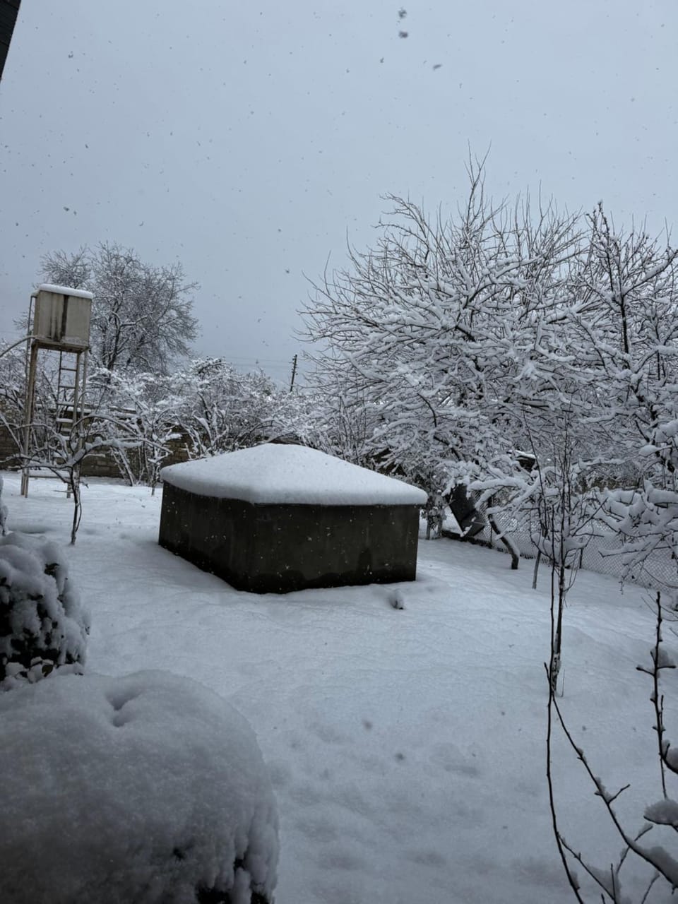 Winter