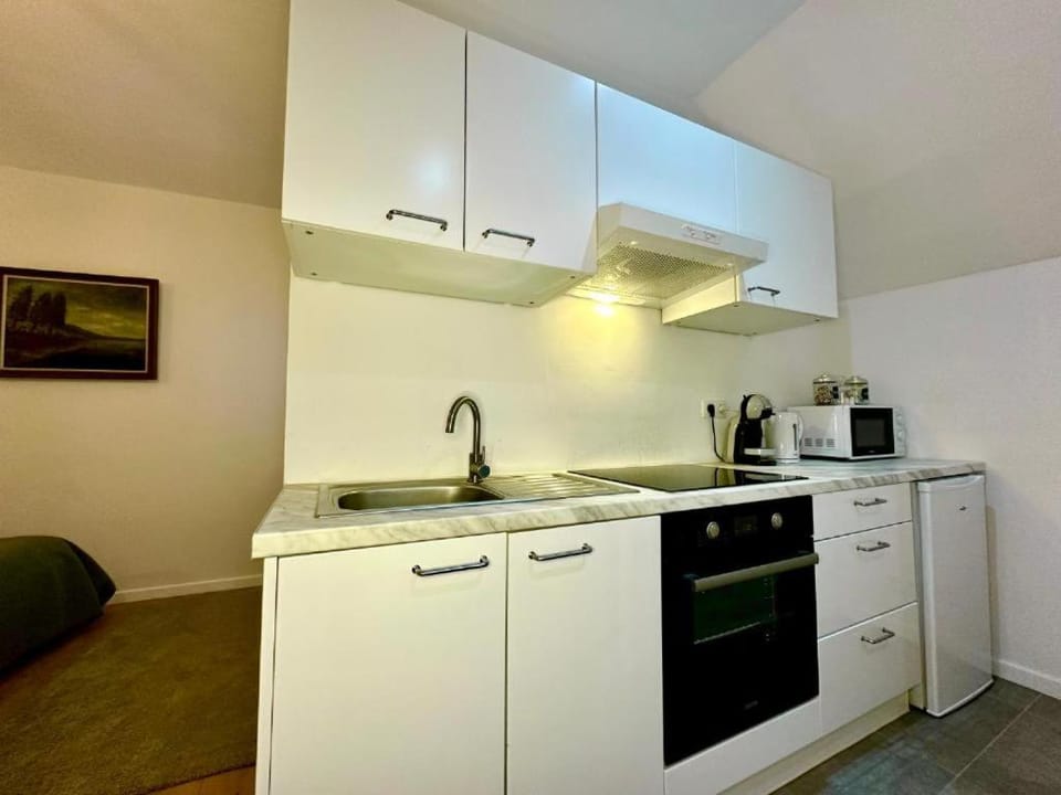 Coffee/tea facilities, Kitchen or kitchenette, oven
