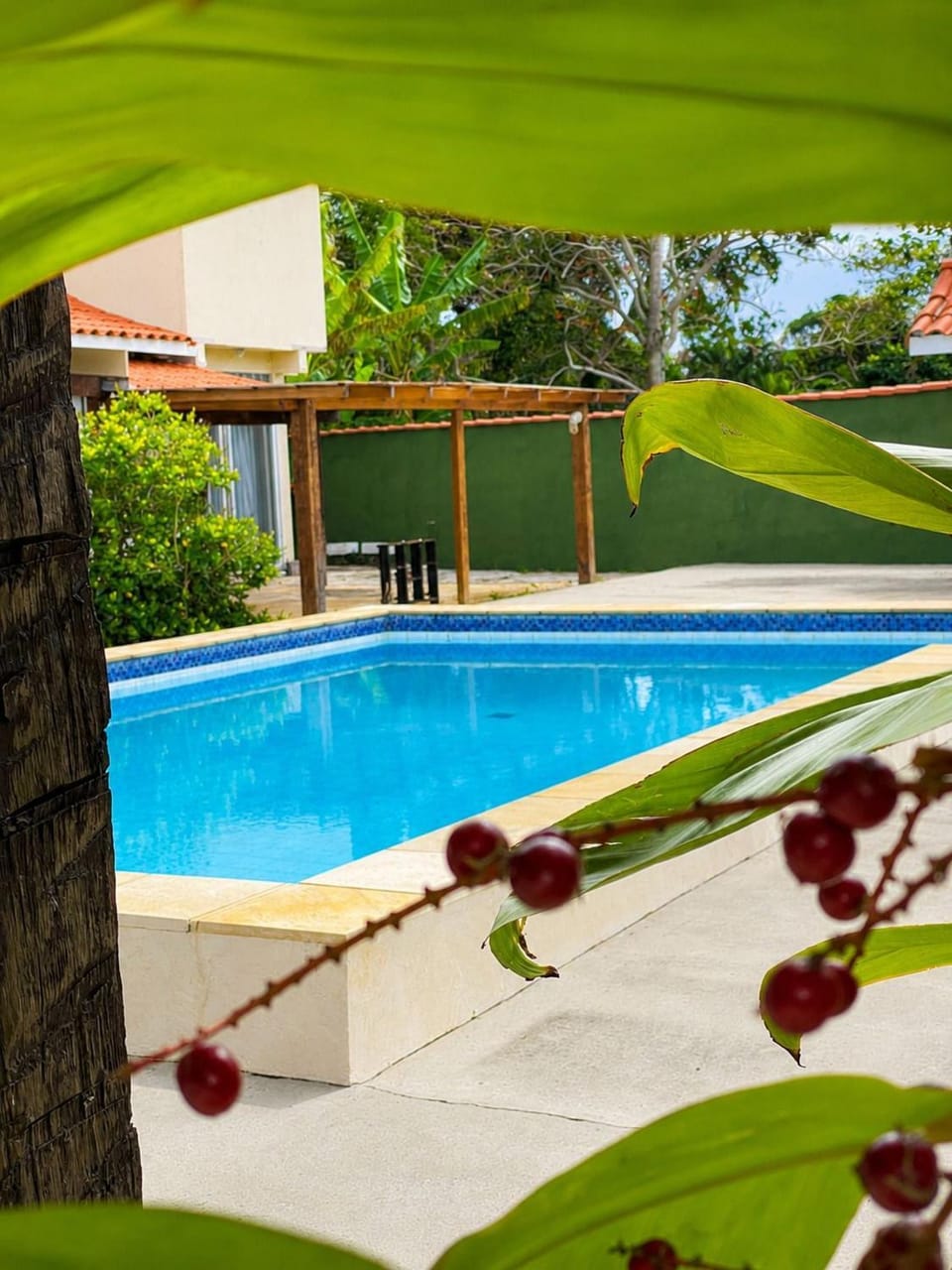 Pool view, Swimming pool