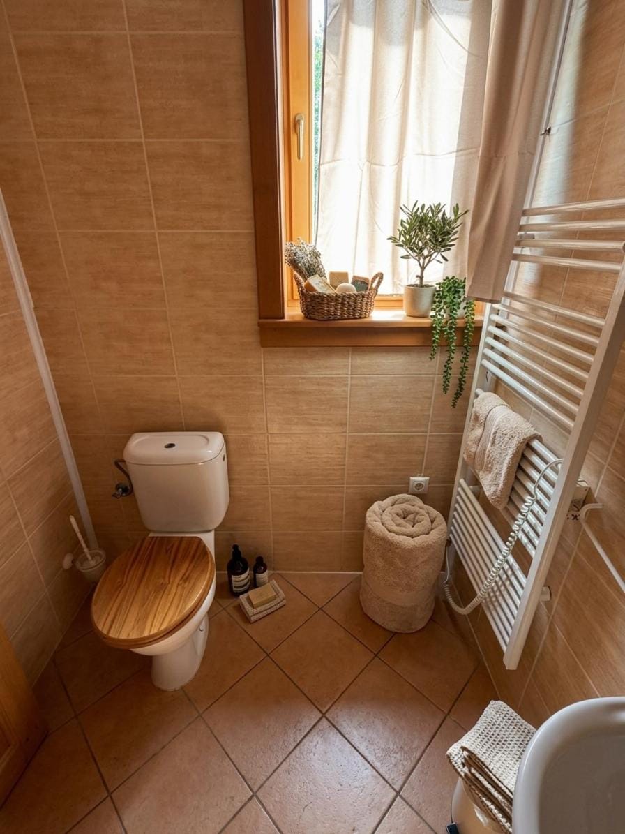 Skalická poľovnícka koliba Apartment in Slovakia