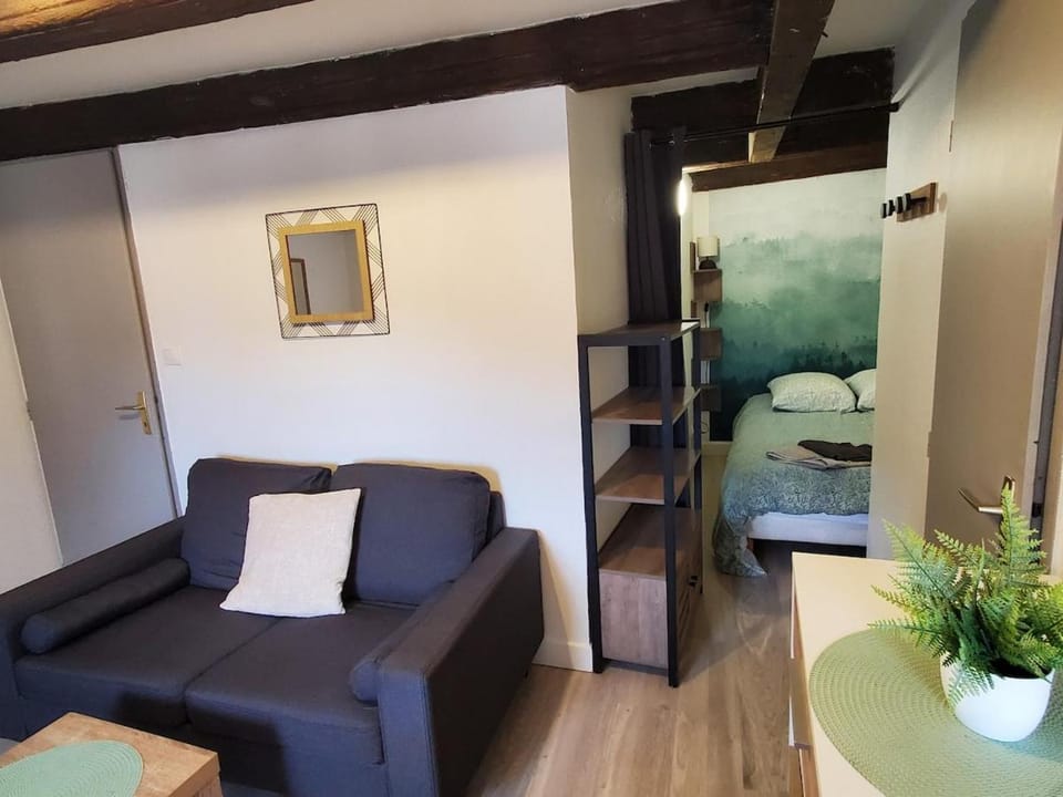 Le Kozzie - Studio confort Lunéville centre Apartment in Grand Est