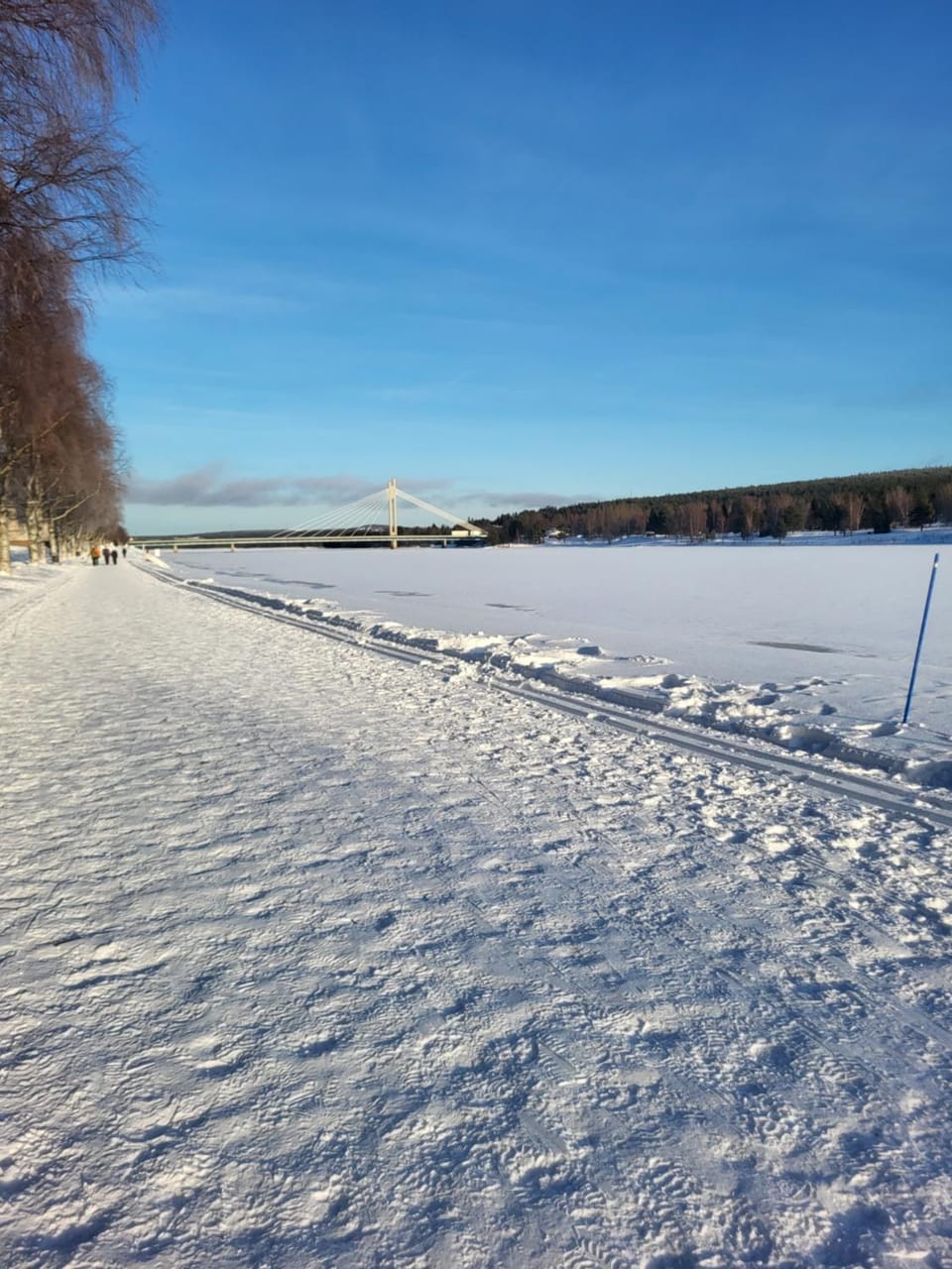 Natural landscape, Winter