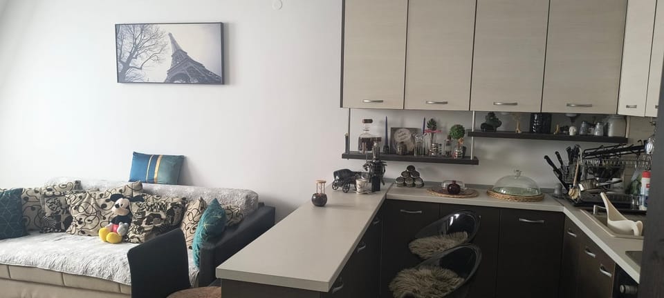 Jhony Rebecca Apartment in Brasov
