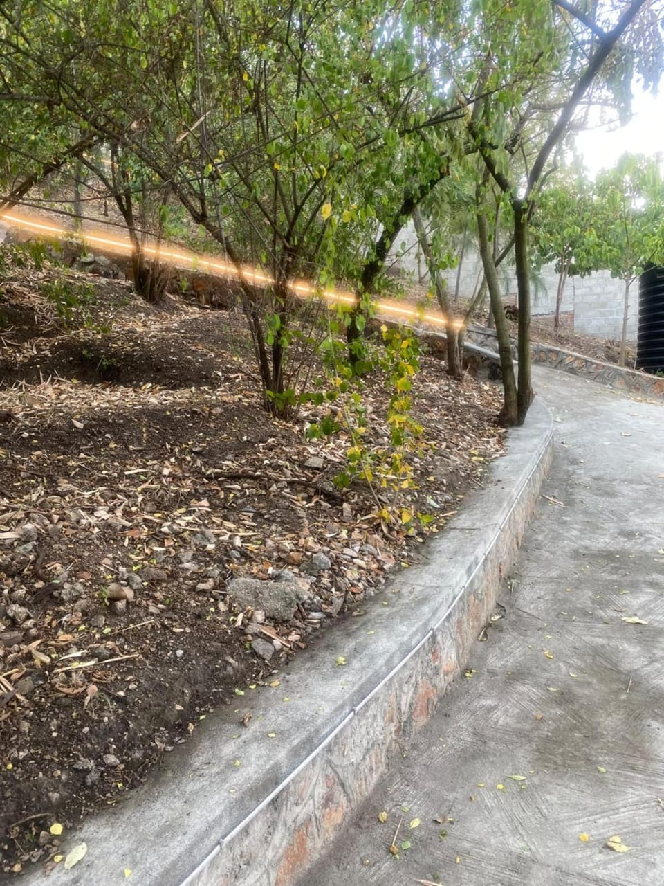 Natural landscape, Garden, Garden view
