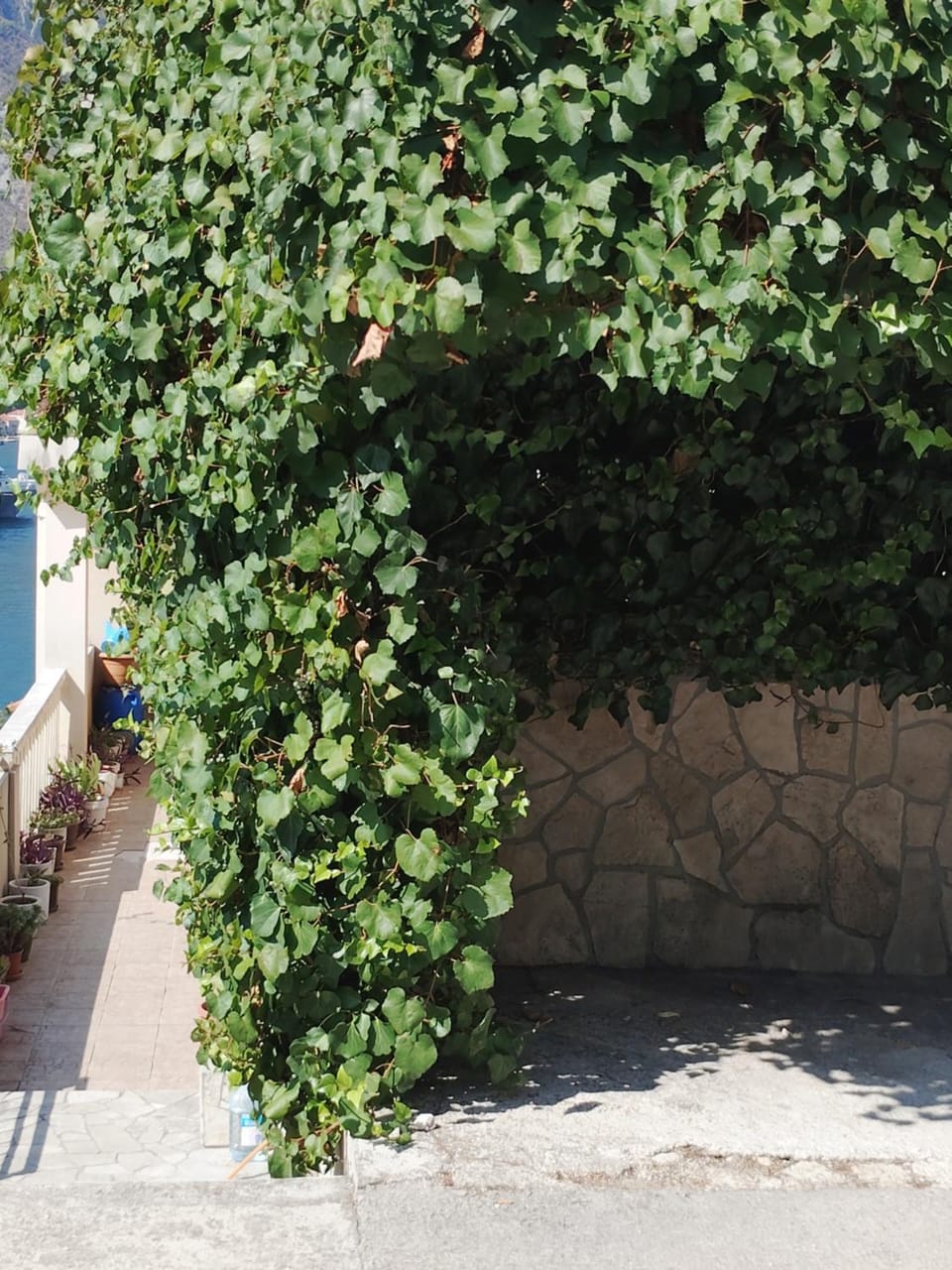 Apartment Fortune cookie Apartment in Dobrota