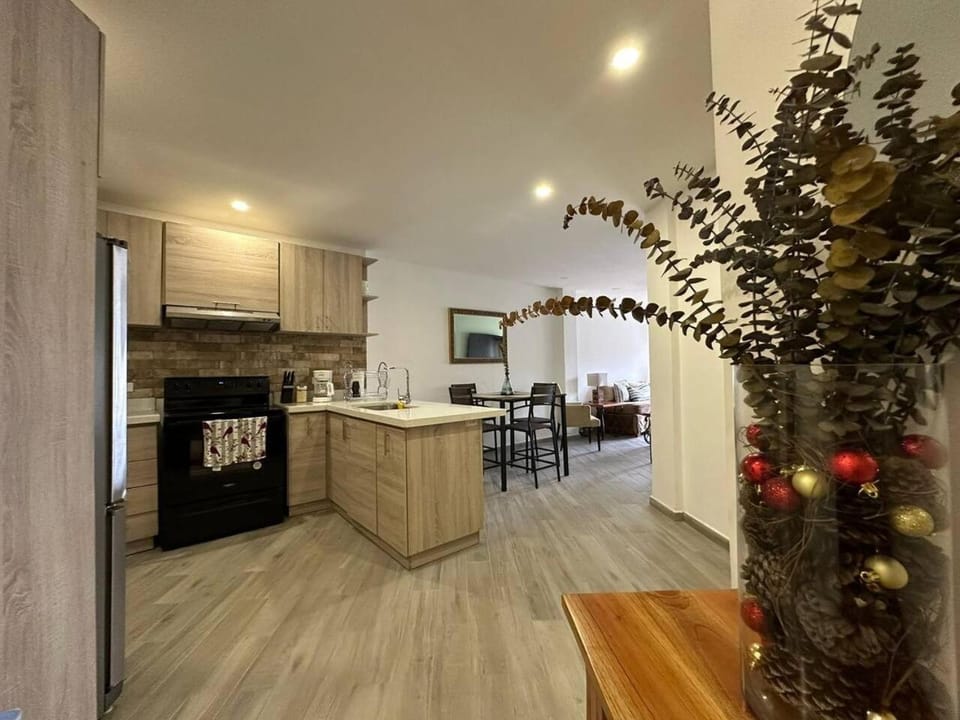 Kitchen or kitchenette, oven, stove