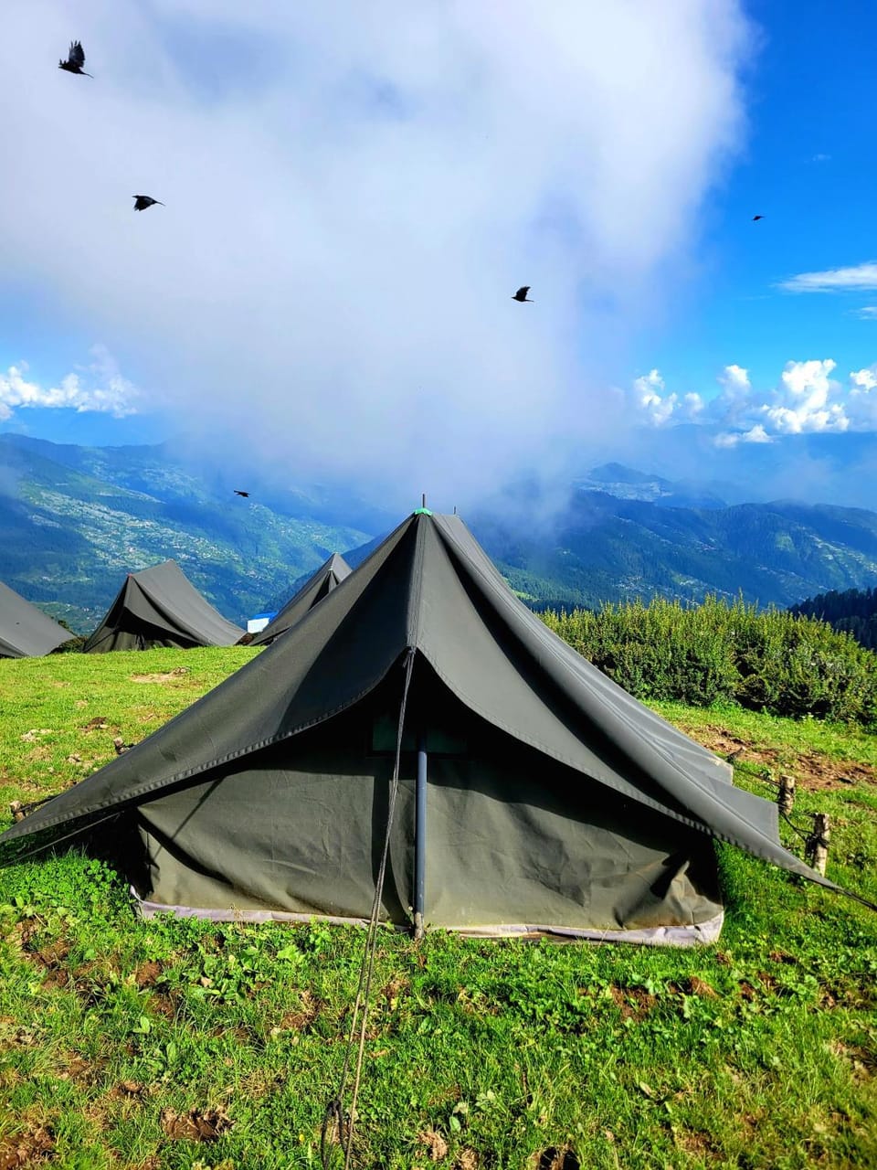 Misty Mountain Camping Luxury tent in Himachal Pradesh