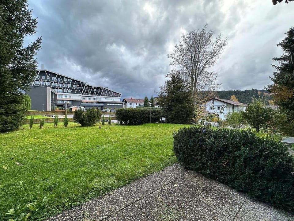 Natural landscape, Garden, Garden view