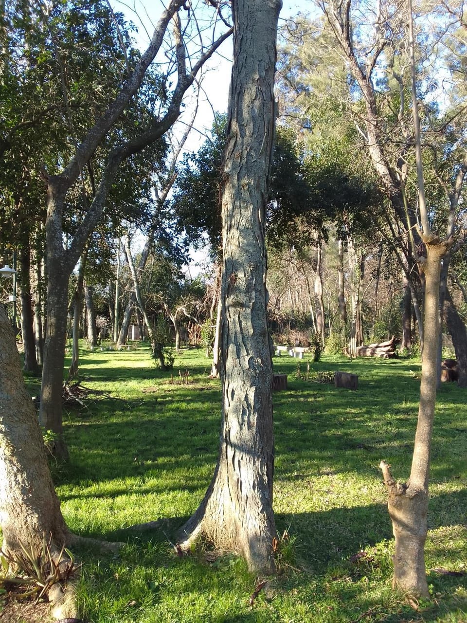 Hermosa Casa Quinta 5000m2 de parque !! House in Moreno