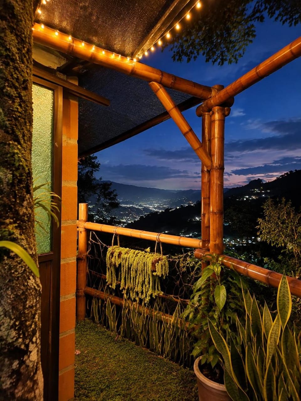 Garden view