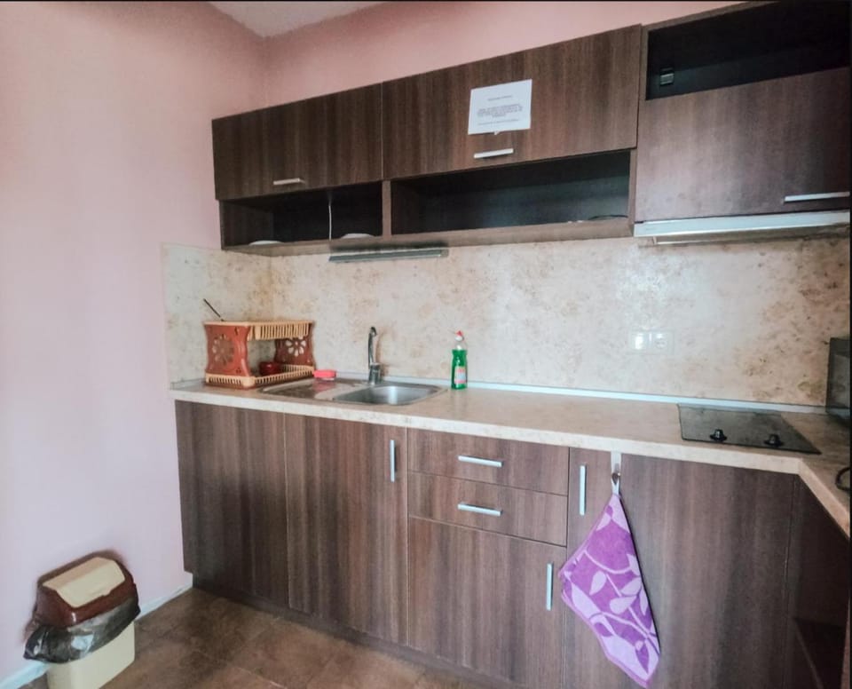 Kitchen or kitchenette, minibar, pet friendly, stove