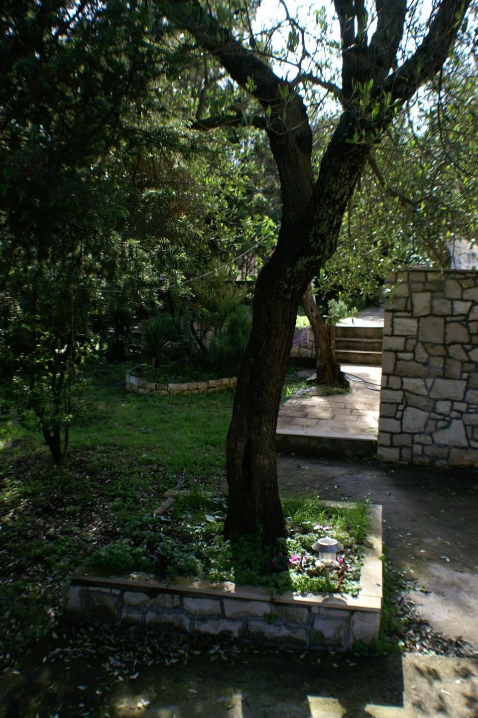 Location, children, Family