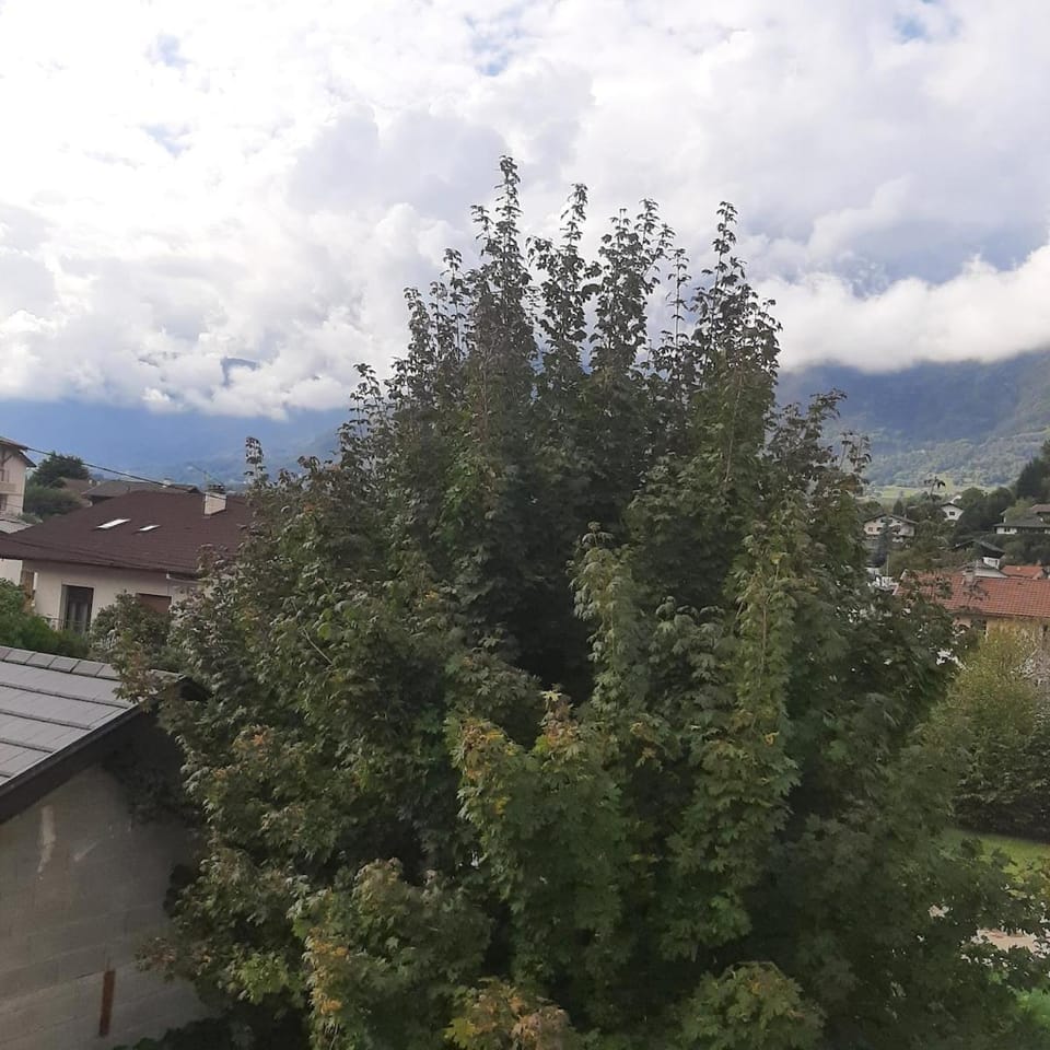 Natural landscape